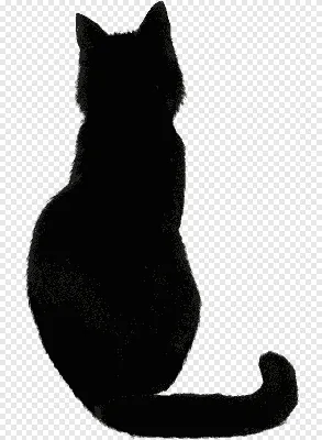 Вид сзади смешного котенка кота Tabby стоя на ногах изолированных на  белизне Стоковое Изображение - изображение насчитывающей котенок, кошачий:  99339103