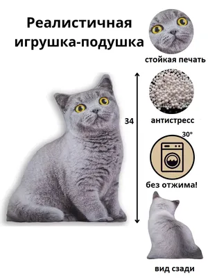 Подвеска в виде кота (вид сзади) из серебра купить на SilverDiscount.ru