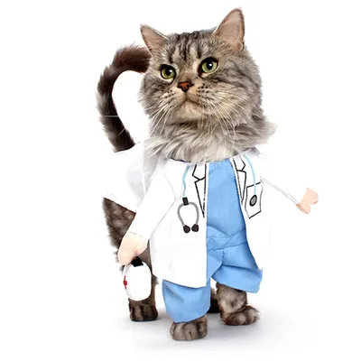 Котик врач арт - 57 фото
