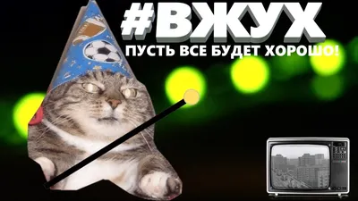 Мемный Кот Вжух 2024 | ВКонтакте