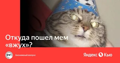 Виртуальный Брест on Instagram: \"🐱Если кот из мема делает «вжух», то банк  – делает SWIFT (примерно по методу того самого кота, только по-настоящему).  💰Так что если вам надо перевести деньги за рубеж