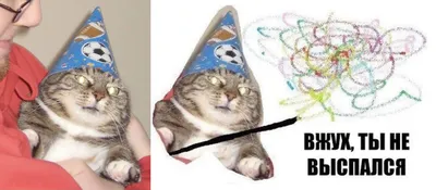 Вжух, и вы смотрите подборку картинок про кота-волшебника » BigPicture.ru