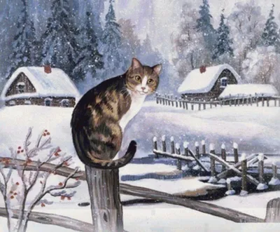 Кот в снег зимой стоковое фото. изображение насчитывающей разведенными -  212034664