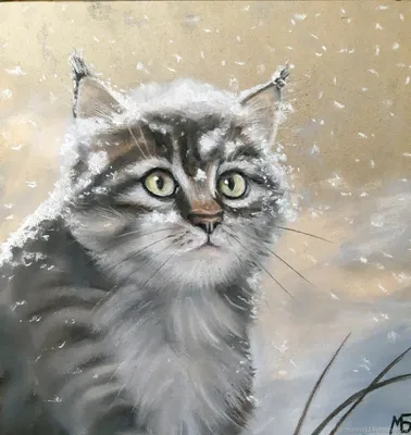 Смешные фото котов зимой | Кошки и собаки | Дзен