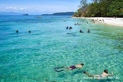 Пляжи Кота Кинабалу, Сабах, Борнео – Сайт Винского