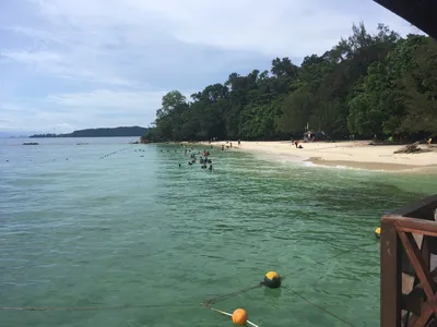 Malaysia. Kota Kinabalu. First Impressions. Best Beaches are Neighboring  Islands. Lobsters and Crabs - YouTube