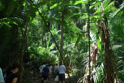 Real Borneo - Экскурсия по городу Кота Кинабалу