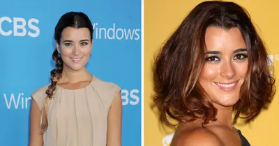 How Cote de Pablo Is Breaking The Mold By Leaving 'NCIS' | Fox News