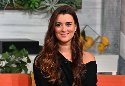 Cote De Pablo At Cbs Fall Season Premiere Photo Background And Picture For  Free Download - Pngtree