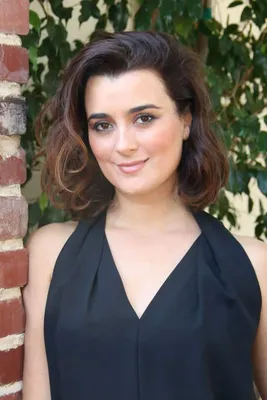 Cote de Pablo says she left 'NCIS' because her character wasn't 'treated  with respect' | Fox News