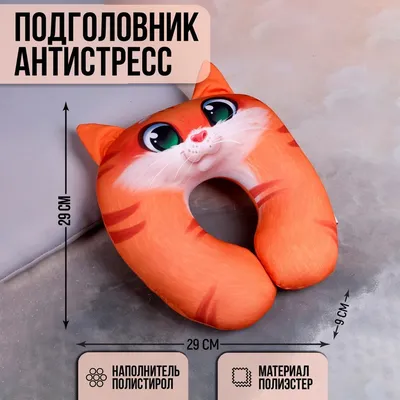 История ресторана «Паштет» в Екатеринбурге, где живет шотландская кошка  Паша: фото - 8 мая 2023 - Е1.ру