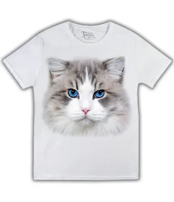 Сувенир украшение ручной работы для любителей кошек пушистая кошка |  Интернет-магазин подарков Ларец