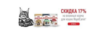 Купить Сухой корм Purina ONE® для взрослых кошек с говядиной и пшеницей,  Пакет, 750 г -официальный интернет-магазин Purina