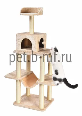 Купить корм для кастрированных котов в Краснодаре: суперпремиального  класса, холистик