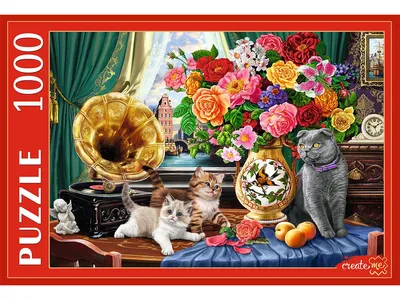 Выставка кошек - Нижний Новгород