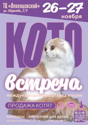 Международная выставка кошек \"КОТО встреча\" (Ростов-на-Дону).