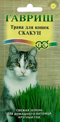Трава для кошек Скакун 10 г купить в Самаре по цене 21 руб.