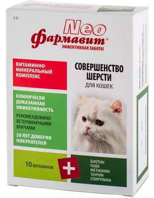 Нашедшему кота из музея Анны Ахматовой в Петербурге пообещали награду - РИА  Новости, 11.10.2021