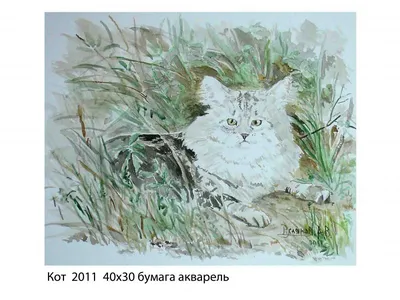 Выставка кошек СПб | IntenSity - питомник кошек в Санкт-Петербурге
