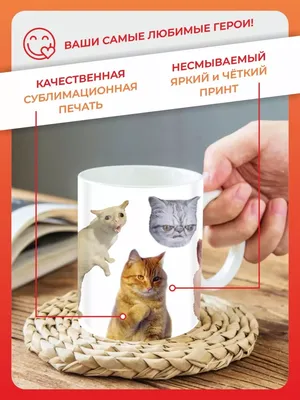 Кружка в подарок рисунок кот, кошка, котик мем приколы FAN-BOX 145079819  купить за 306 ₽ в интернет-магазине Wildberries