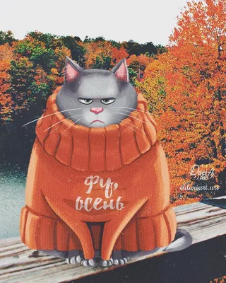 Фото Сердитый кот в вязанном свитере, by dariart. art (Фу, осень)