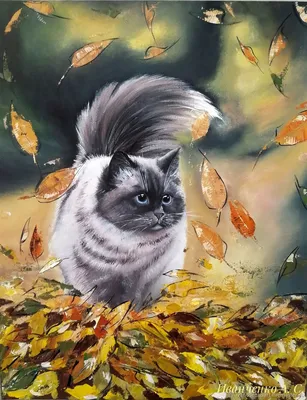 Котенок осенью рисунок - 73 фото