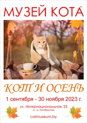 Картина \"Уютная осень\". Кошка на окне. Осеннее настроение в  интернет-магазине Ярмарка Мастеров по цене 8500 ₽ – MNVFWRU | Картины,  Самара - доставка по России