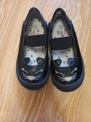 Почему кошка гадит в обувь?