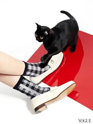 Мешочки ботинки для выгула собак и котов, весенне-осенняя обувь защитная  для домашних животных 5 (ID#1825327096), цена: 160 ₴, купить на Prom.ua