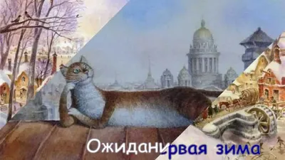 Петербургские коты картинки - 62 фото