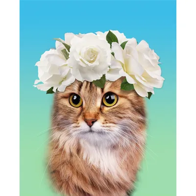 Восьмимартовские коты и цветы - для прекрасных подписчиц! | КотоВедение |  Дзен