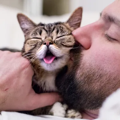 Котов можно целовать в нос». Ветеринар-онколог о профессии и общении с  животными