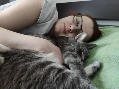 В обнимку и не только: 4 причины спать с кошкой - Питомцы Mail.ru