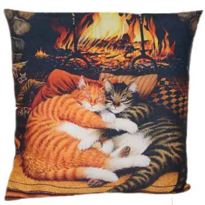 Идеальный Кот для зимних вечеров в обнимку: Бесплатно - Кошки Экибастуз на  Olx