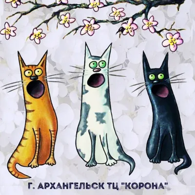 Коты ждут весны :: Николай Осипенко – Социальная сеть ФотоКто