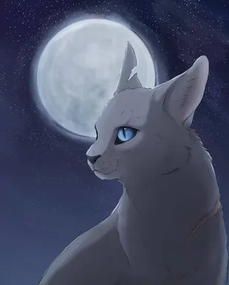 Синяя Звезда | Warrior cats, Warrior cat, Cat art