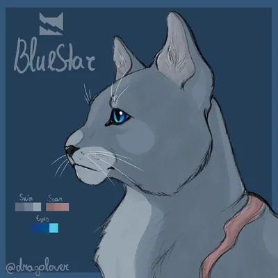 Иллюстрация Коты воители: Синяя Звезда в стиле графика, книжная