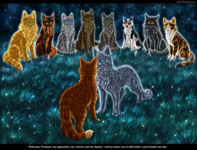 Рисуем SCP-511 | Коты Воители - ЗВЕЗДОЦАП - YouTube