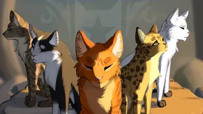 Смерти котов-воителей | •° Коты-Воители •° Amino