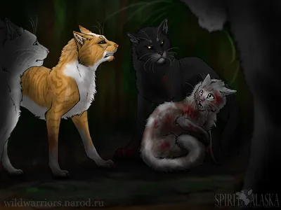 Битвы племен — Коты-Воители Знамение Звёзд