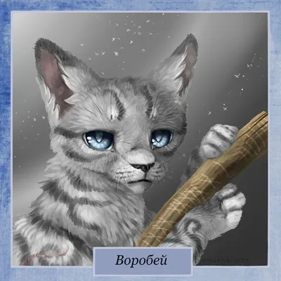 Коты Воители: Герои книг - Воробей - Wattpad