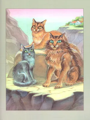 Картинки для срисовки коты воители бич - 22 фото