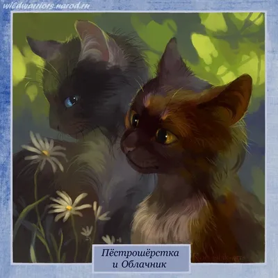 Коты Воители: Герои книг - Ржавница - Wattpad