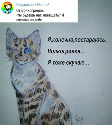 Коты-воители / Биографии - Милли - Wattpad
