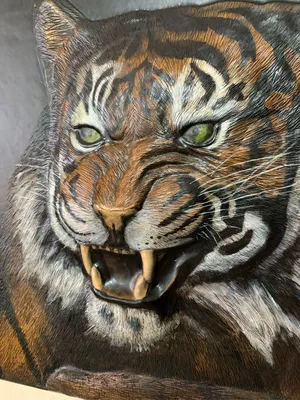 фон с изысканной текстурой меха тигра, леопард, леопардовая шкура, Кожа  животного фон картинки и Фото для бесплатной загрузки