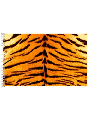 Бесшовный текстурированный образец кожи тигра, тигр, Dermatoglyph, тигровая  кожа фон картинки и Фото для бесплатной загрузки