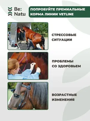 Профилактика сезонных заболеваний у лошадей | Интернет-магазин «Фитобокс»  (Phytobox)