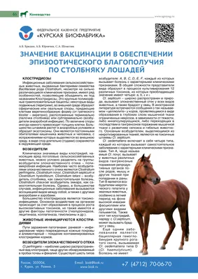 Наследственные дефекты лошадей: диагностика и профилактика / Inheritable  defects of horses: diagnosis and prevention