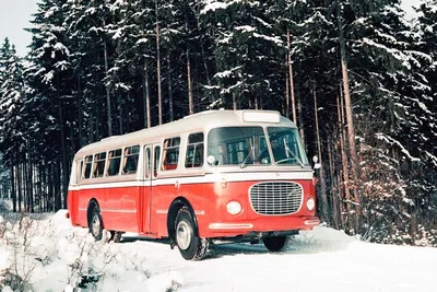12 невероятно красивых автобусов из СССР и дружественных стран — Фото —  Селектор — Motor