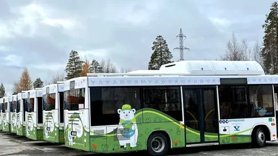 К чему снится автобус — сонник: автобус во сне | 7Дней.ру